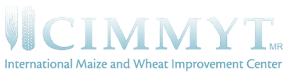 CIMMYT International Maize and Wheat Improvement Center